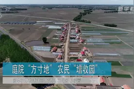庭院“方寸地” 农民“增收园”视频封面