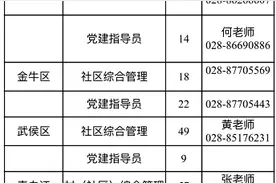 高校毕业生！成都启动2020年“一村一大”计划，岗位不少于2000个图片