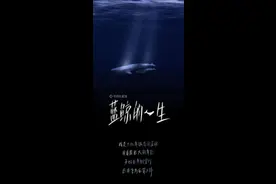 蓝鲸的一生：鲸落是什么图片
