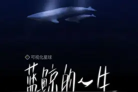 蓝鲸的一生：鲸落是什么图片