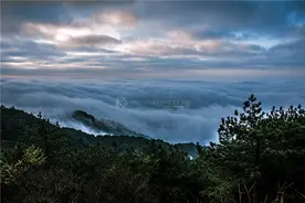 快来体验“森”呼吸！湖南5基地入选首批国家森林康养基地图片