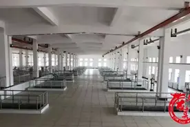 松花江水源供水工程净水管线7月开工！松北更多居民将喝上松花江水图片