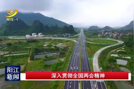 阳江：不断优化发展环境 跨入高质量发展快车道图片