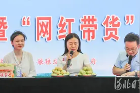 河北遵化：网红“云”助力 山村白杏四飘香图片