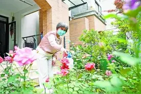 七旬老人康复后成养花达人：余生要“幸福像花儿一样”图片