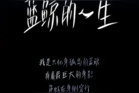 漫画蓝鲸的一生：鲸落是什么？图片