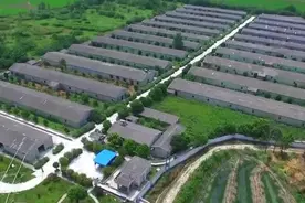 湖北黄冈：整治农业面源污染 守护一江碧水视频封面