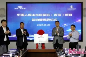 首个金融保险服务项目入驻自贸区青岛片区图片