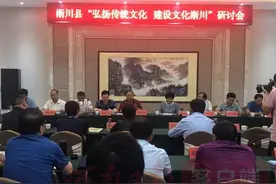 回到故乡，这些淅川籍名人发出追问：如何激扬这片山川的真正魅力？图片