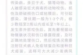 多地狂犬疫苗“一针难求”，为啥会“断货”？图片