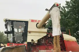 雷沃谷神千里跨区助力“三夏”丰收图片