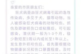 狂犬疫苗“一针难求”，到底因为啥？图片