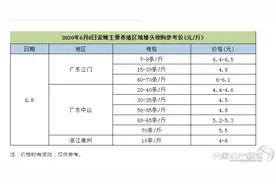 价格崩盘，跌穿成本！泥鳅究竟怎么了？图片