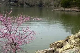 两名中国留学生在美国不幸溺水身亡图片