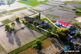 世界认可日｜此刻出发，为时不晚图片