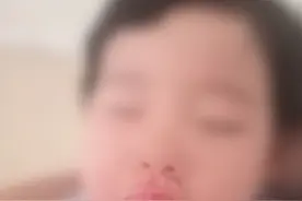 周口一女童幼儿园内被咬伤 园方是否该担责？图片