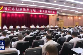 阳江扫黑除恶专项斗争工作推进会召开 坚决夺取扫黑除恶专项斗争全面胜利图片