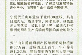 新闻多一点 | 北纬38度：世界种植酿酒葡萄黄金带图片