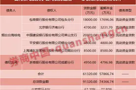 高端制造业，银行也栽了？这家上市公司一年债务逾期7个亿图片