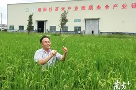 我的特区故事｜他是全国种粮大户，过去“用手种田”，现在“用脑种田”图片