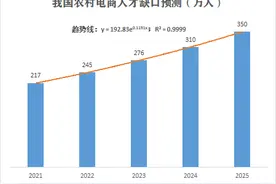 《农村电商人才报告》：2025年人才缺口将达350万，拼多多成最大人才兴农平台图片