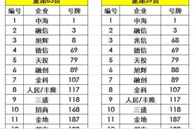 麓湖土拍激战丨最高成交价15937元/㎡、最高无偿移交比例12%图片