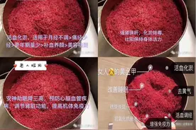 揭开“花中黄金”藏红花的神秘面纱图片