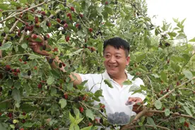 长葛市增福镇 特色种植种出好风景图片