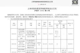 唐镇宅地上市，未来将有重量级新盘上市图片