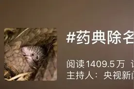 药典除名穿山甲图片