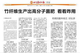 竹纤维生产出高分子菌肥 看看咋用图片