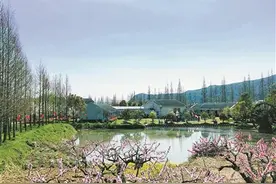 雅致岙是野猪岙，王社竟是黄蛇——这些特殊的宁波地名，背后有啥来历图片