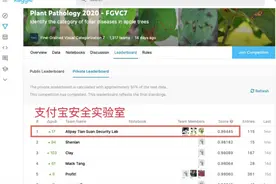 超越1316支团队，支付宝天筭安全实验室摘国际AI大赛冠军图片