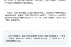 泰州回应：出土文物的中骏世界城工地已经全面停工图片