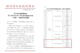 祝贺！西南医大中医院获批6个四川省中医重点建设专科（专病）图片
