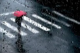 梅雨天各种不舒服？除湿这几招，今晚就可以做起来图片