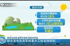 生态系统重大工程总体规划来了！到2035年这些将得到实现！视频封面