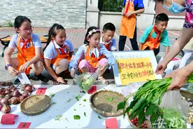 组图）合肥小学生校门口摆摊 售卖自种蔬菜图片