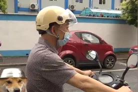 男子骑电动车载狗出行，狗也戴上自制头盔视频封面