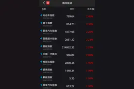 特斯拉股价狂飙，A股概念板块超大单流入逾17亿元！基金经理：买入这类龙头图片