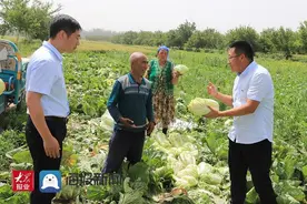 英吉沙乌恰镇贫困村蔬菜丰收 乡镇干部助农户寻销路图片