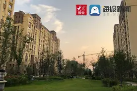 “领秀珊瑚湾垃圾遍地飞”物业称不关我们的事图片