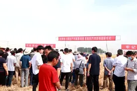 东营：小麦大面积收获拉开序幕 智慧农机成为新宠视频封面