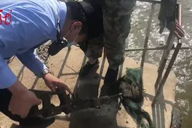 男子钓鱼，钓到的东西大又长，都惊动了警察图片