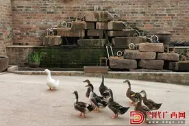 邕宁：示范坡“乡村水系”彰显浓浓乡愁图片