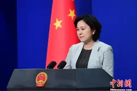 华春莹谈中国外交官使用推特：入乡随俗与民众进行交流的一种方式图片