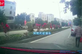 路边摄｜司机三次遇见同一路人，竟撞了上去图片