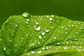 成长 | 一心一意，我们在寻找对方图片