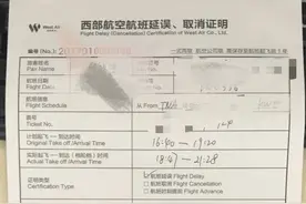 业内人谈航延险被“薅”：虚构延误证明极难，确有职业索赔者图片