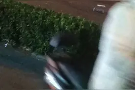 突发！济南一公交车疑似刹车失灵，撞向行道树图片